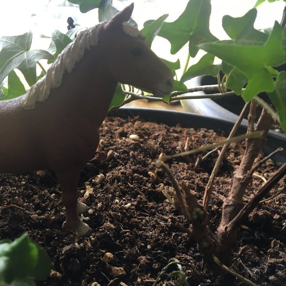 Meet your Posher, Zackary - Picture 1 of 1